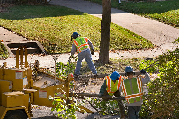 Best Artificial Turf Installation  in Westgate, FL