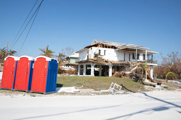 Trusted Westgate, FL Tree Removal Experts